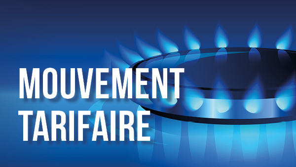 Évolution des prix du gaz naturel